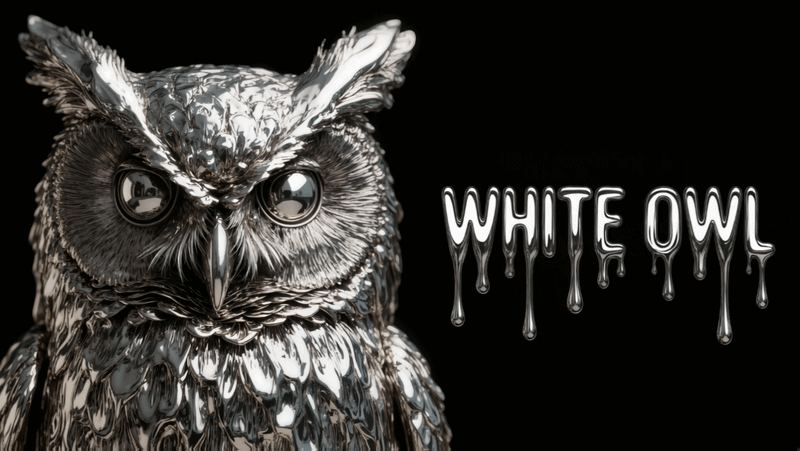 WhiteOwl hero banner
