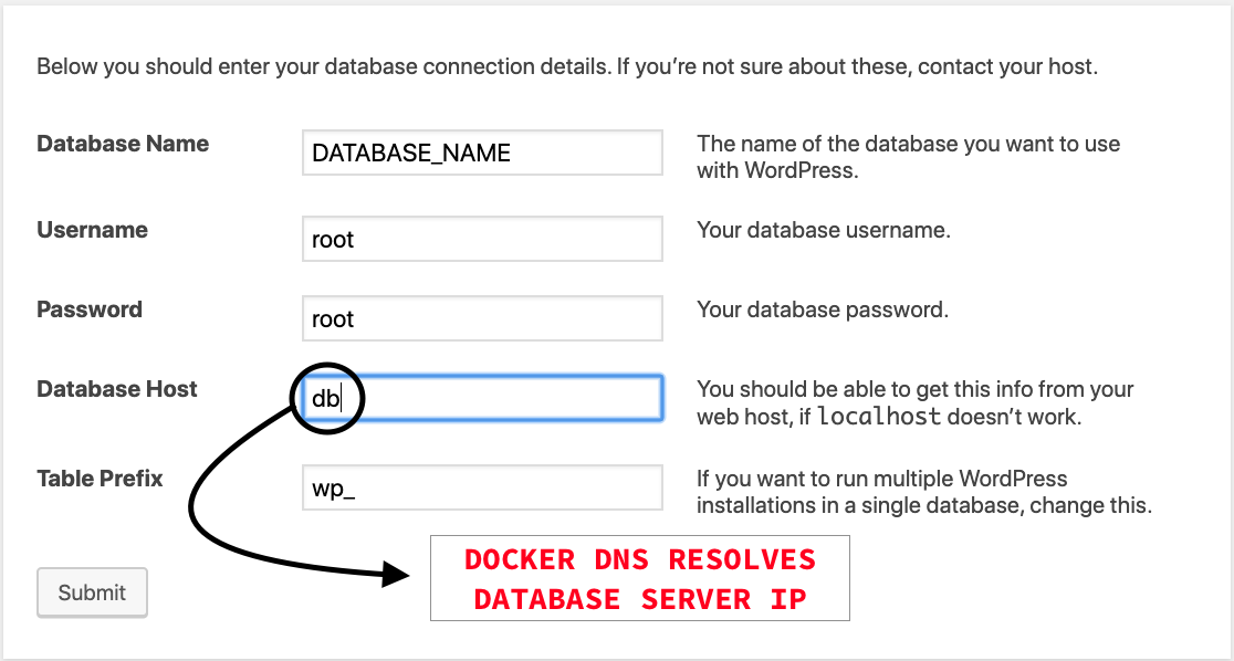 Docker DNS resolves database server ip