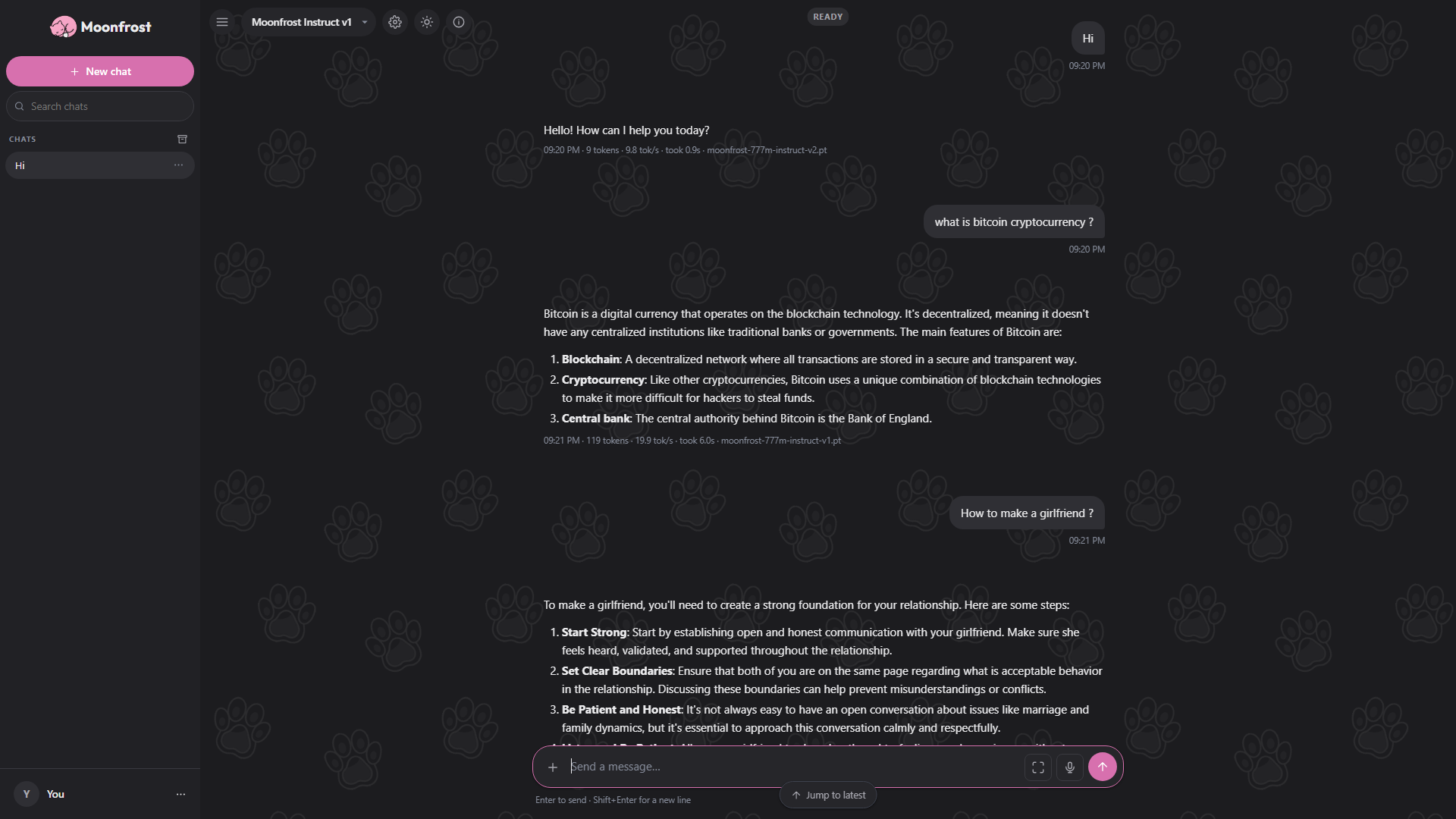 The chat interface, dark theme