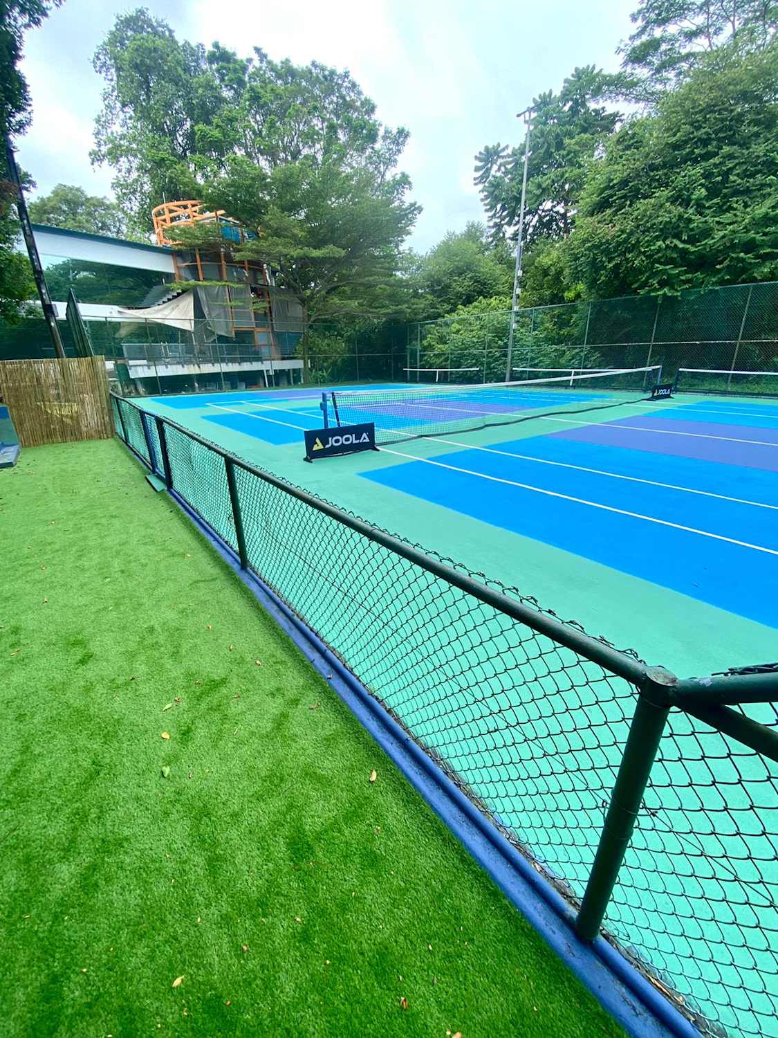 Racket Jungle Dempsey — pickleball courts surrounded by greenery