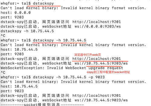 启动dstackspy