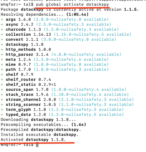 pub global activate dstackspy