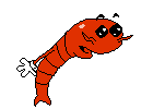 spr_shrimp_scared_2