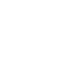 spr_spiderweb_0