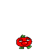 spr_toppintomato_0