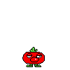 spr_toppintomato_10