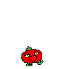 spr_toppintomato_11