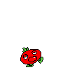 spr_toppintomato_12