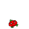 spr_toppintomato_13