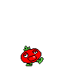 spr_toppintomato_14