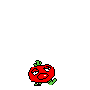 spr_toppintomato_15