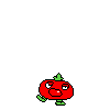 spr_toppintomato_3