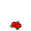 spr_toppintomato_4