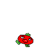 spr_toppintomato_5