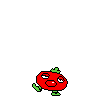 spr_toppintomato_6