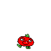 spr_toppintomato_7