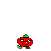 spr_toppintomato_8