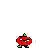 spr_toppintomato_9