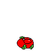 spr_toppintomato_run_11