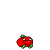 spr_toppintomato_run_12