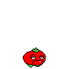 spr_toppintomato_run_14