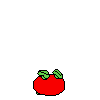 spr_toppintomato_run_5