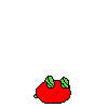 spr_toppintomato_run_6