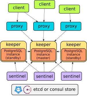 Stolon architecture