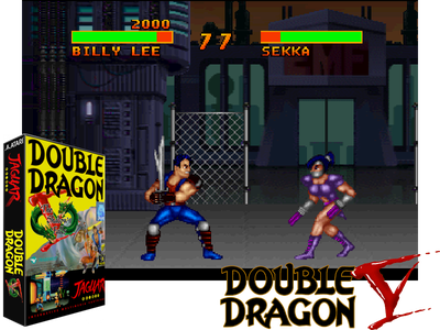 DOUBLE DRAGON V - THE SHADOW FALLS