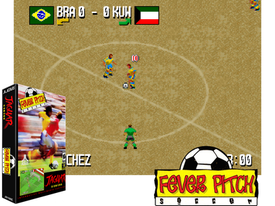 FEVER PITCH SOCCER