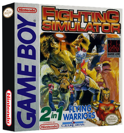 Fighting Simulator 2 in 1