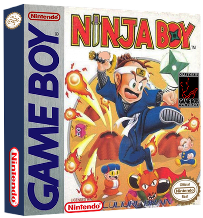 Ninja Boy