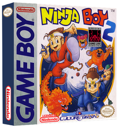 Ninja Boy 2