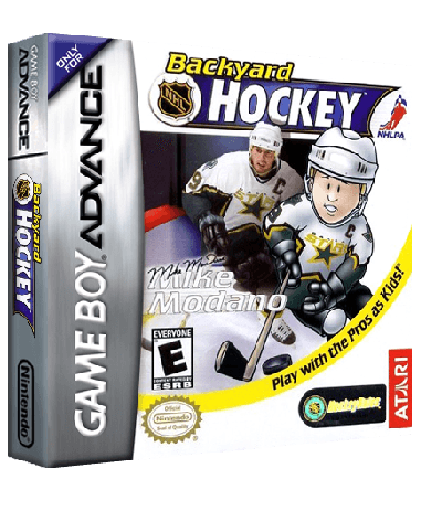 Backyard Hockey
