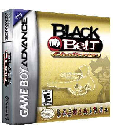 Black Belt Challenge