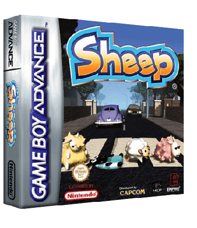 Sheep
