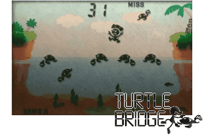 TURTLE BRIDGE