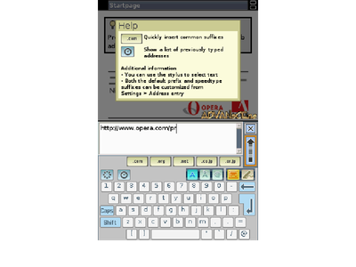 Nintendo DS Browser
