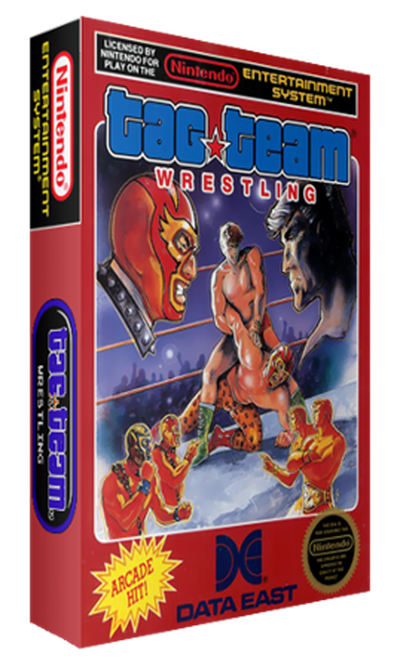 Tag Team Wrestling