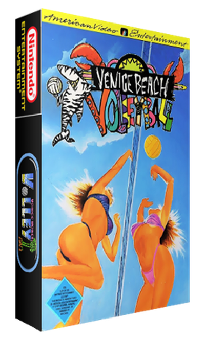 Venice Beach Volleyball