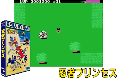 NINJA PRINCESS [JAPAN]