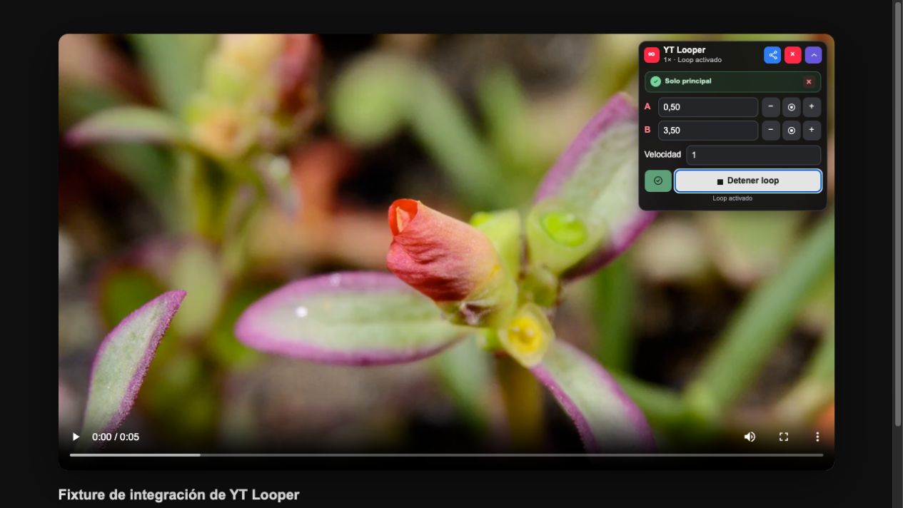 YT Looper funcionando sobre un vídeo