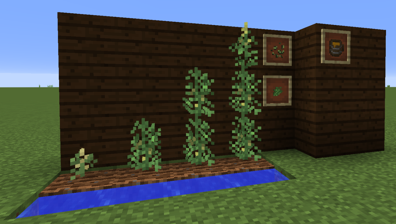 Hops
