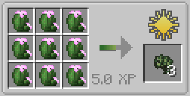 peyoteRecipeDriedPeyote.png