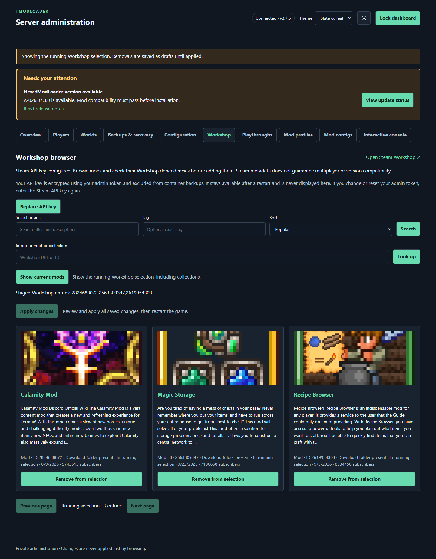 tModLoader-Web-Managed-Server image 7