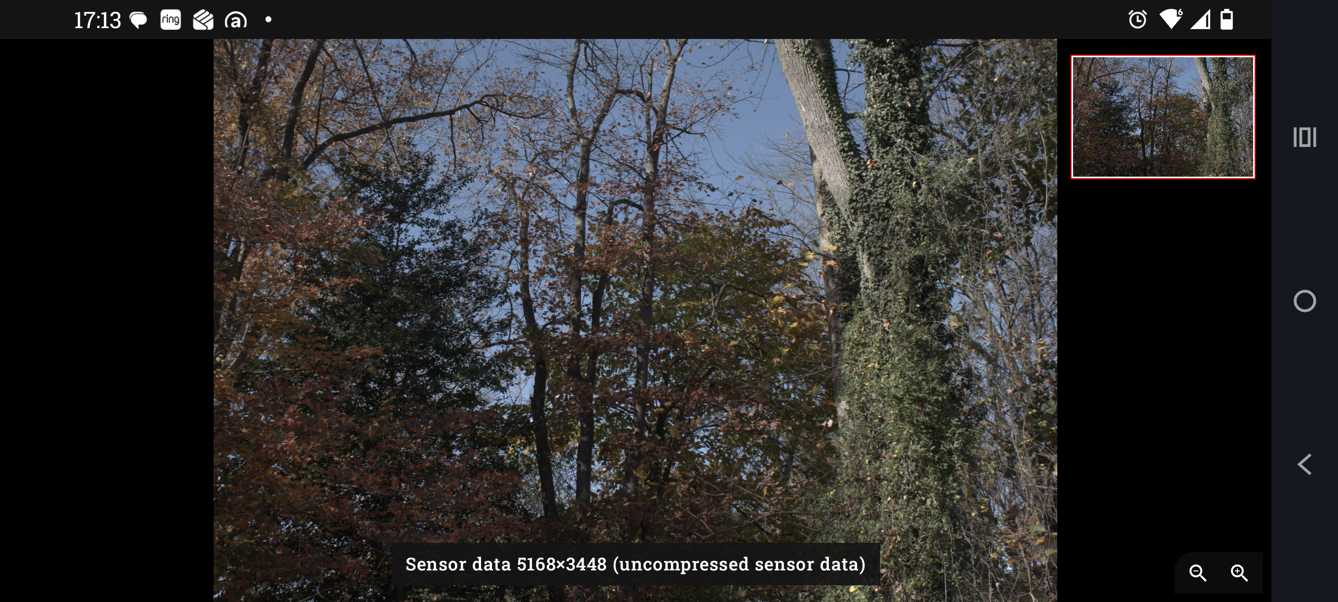 The inspector showing undeveloped sensor data