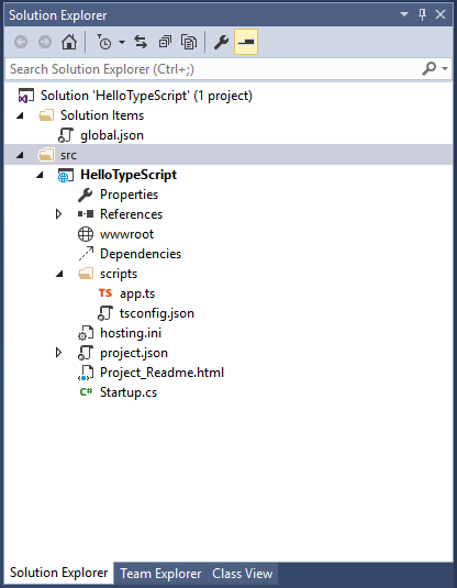 A project in Visual Studio's Solution Explorer