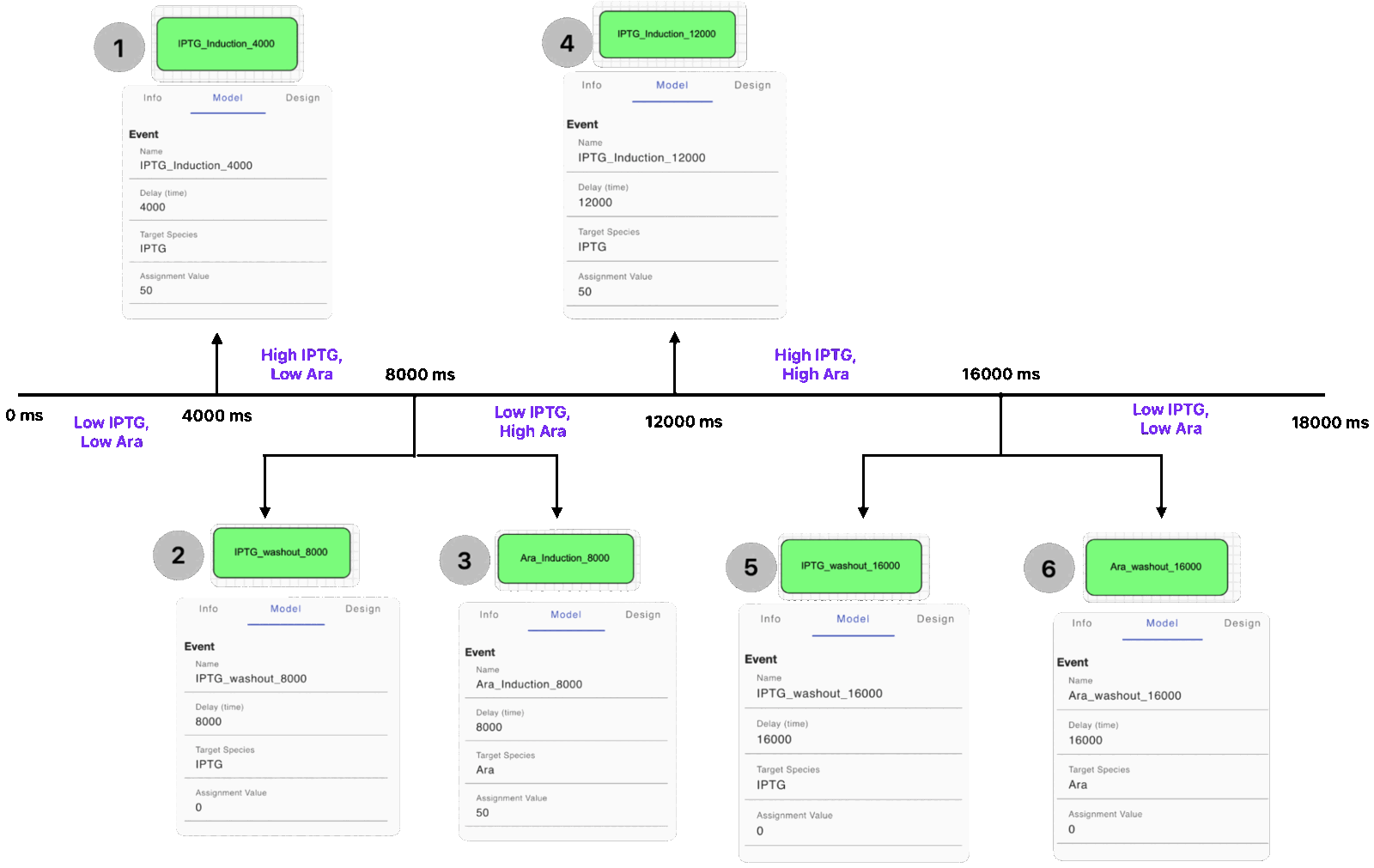 Simulation timeline of induction and washout events