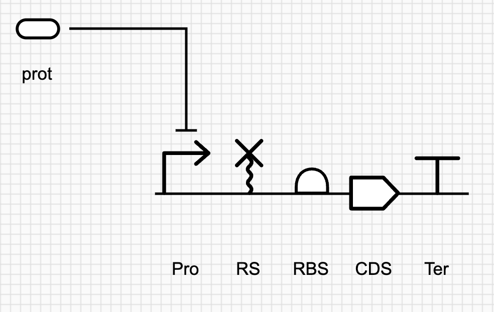 Repression reaction between repressor and promoter