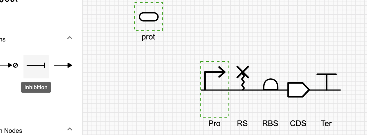 Selecting repressor and cognate promoter